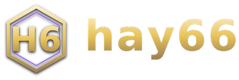 hay66 logo